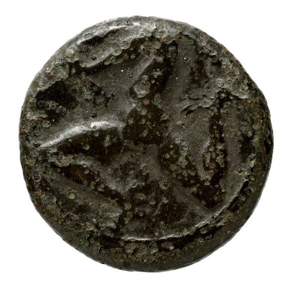 Rhodes BMC Rhodes 357-361, реверс, bnf-iris