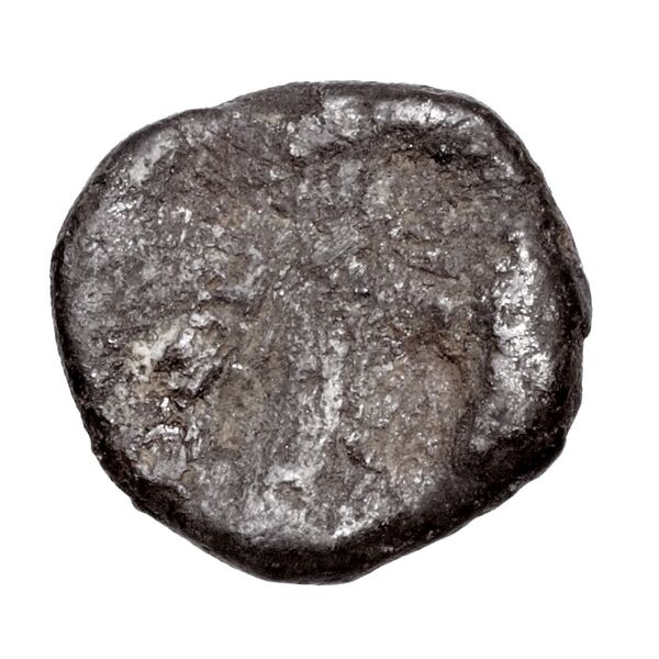 реверс Panticapaeum MacDonald 2005 42