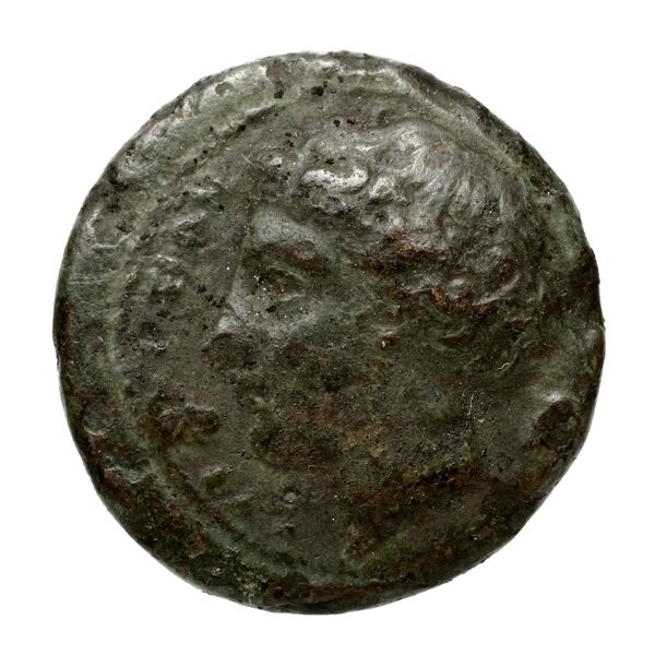 Brettii Bruttium Historia Numorum Italy 2000-2005, аверс, bnf-iris