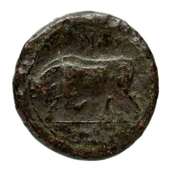 Brettii Bruttium Historia Numorum Italy 2000-2005, реверс, bnf-iris