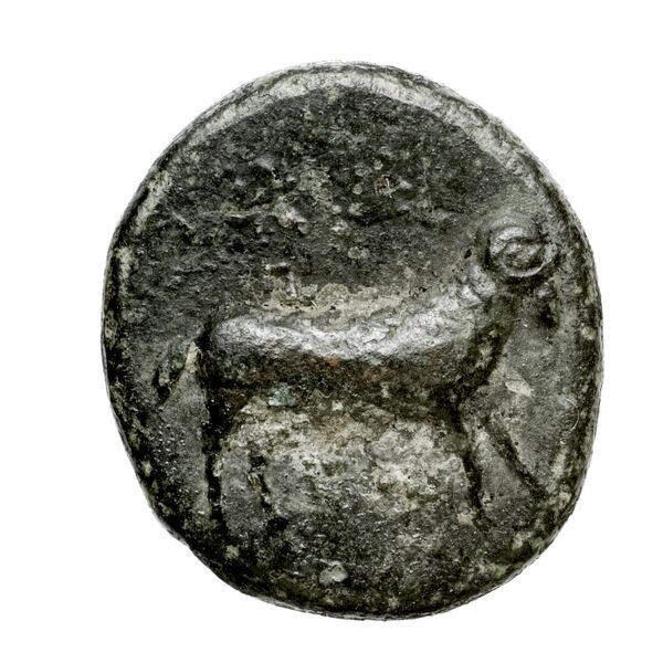 Brettii Bruttium Historia Numorum Italy 2000-2005, аверс, bnf-iris