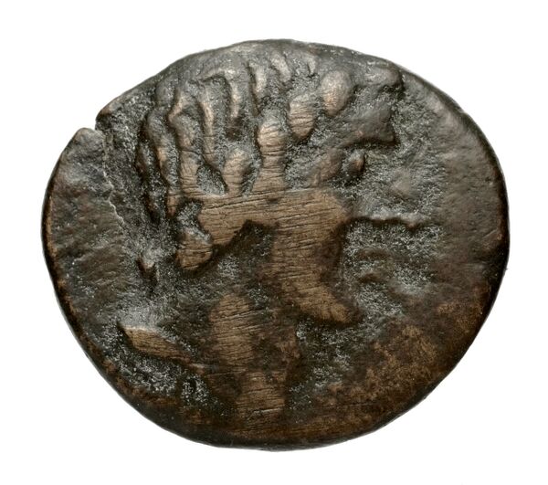 Brettii Bruttium Historia Numorum Italy 1987, аверс, bnf-iris