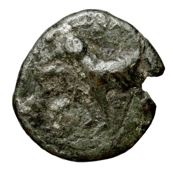 Brettii Bruttium Historia Numorum Italy 2000-2005, аверс, bnf-iris