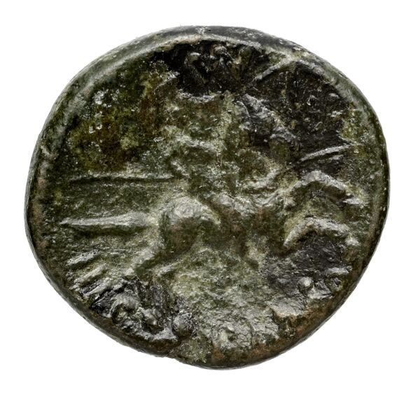 Brettii Bruttium Historia Numorum Italy 2000-2005, реверс, bnf-iris