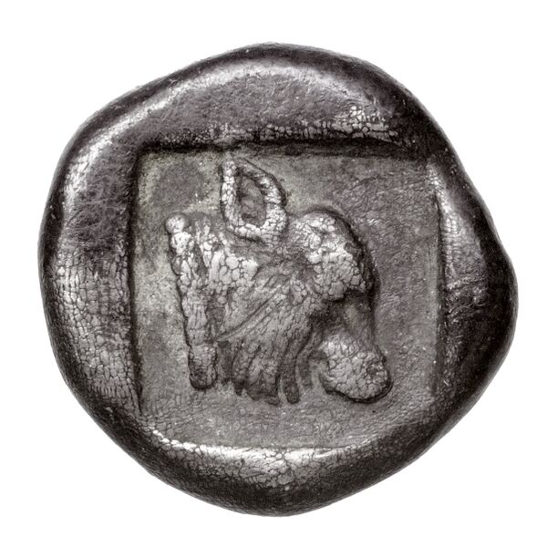 coin rev