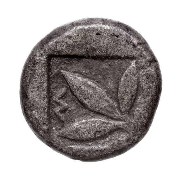 coin rev