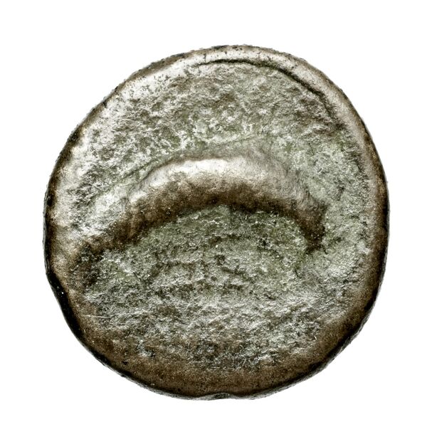 Brettii Bruttium Historia Numorum Italy 1988, аверс, bnf-iris