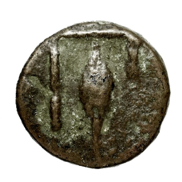 Brettii Bruttium Historia Numorum Italy 1988, реверс, bnf-iris