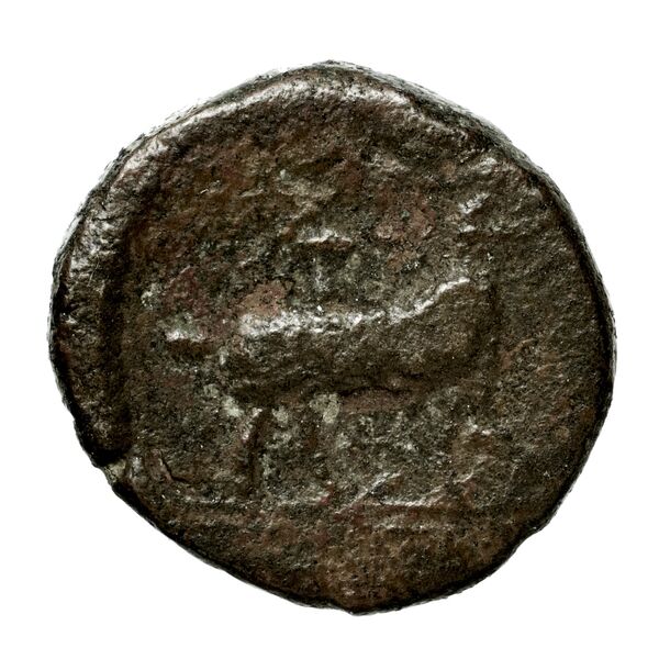 Brettii Bruttium Historia Numorum Italy 1975-1977, реверс, bnf-iris