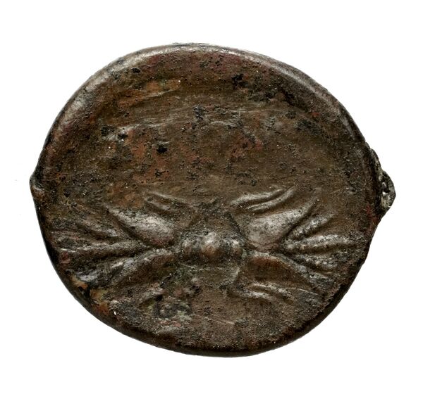 Agathocles of Syracuse Syracuse Puglisi 2009 323-324, реверс, bnf-iris