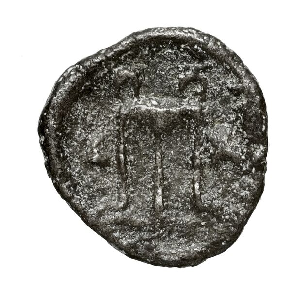 Zacynthus BMC Zacynthus 13-15_21, реверс, bnf-iris