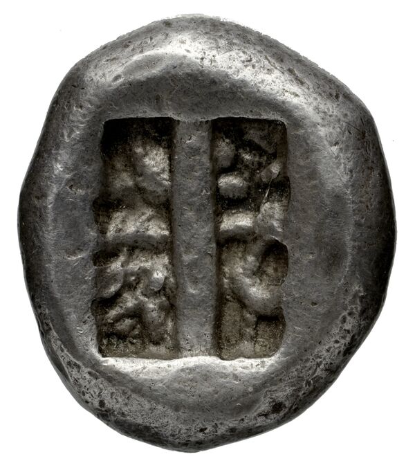 Camirus BMC Camirus 2-11, reverse, bnf-iris