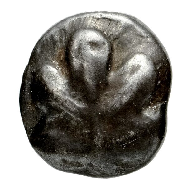 Camirus BMC Camirus 2-11, obverse, bnf-iris