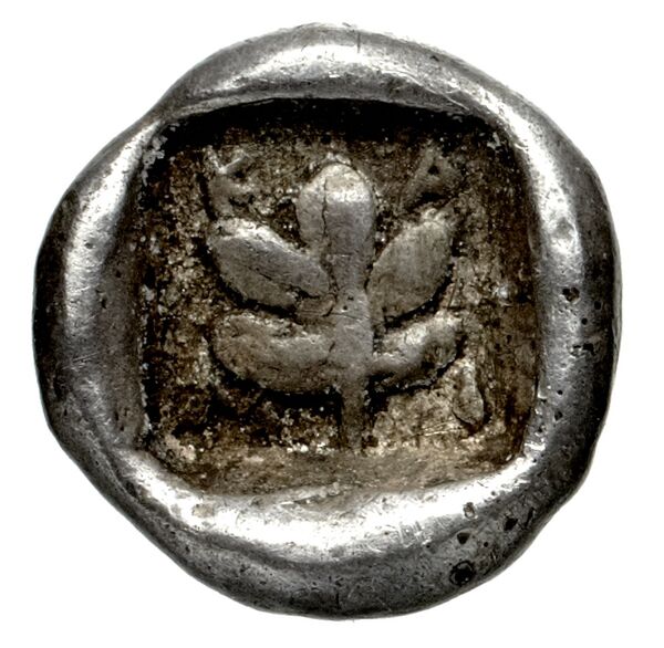reverse Camirus Paris FG 1698
