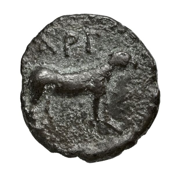 Achaean League Antigoneia Benner 2008 Antigonieia 1-13, реверс, bnf-iris