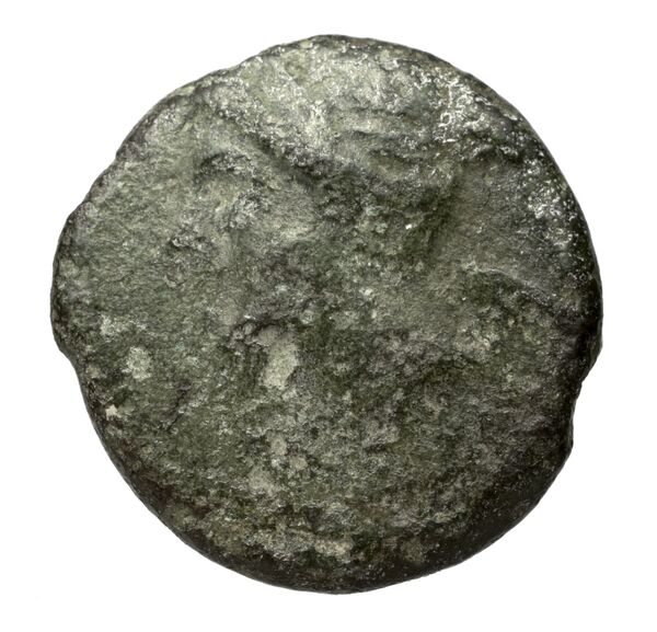 Brettii Bruttium Historia Numorum Italy 1997, аверс, bnf-iris