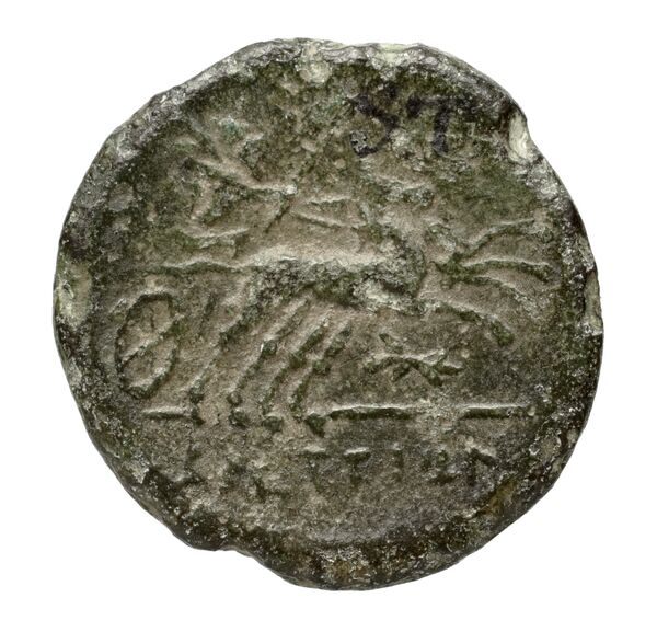 Brettii Bruttium Historia Numorum Italy 1997, реверс, bnf-iris