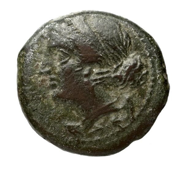 Brettii Bruttium Historia Numorum Italy 1989, аверс, bnf-iris