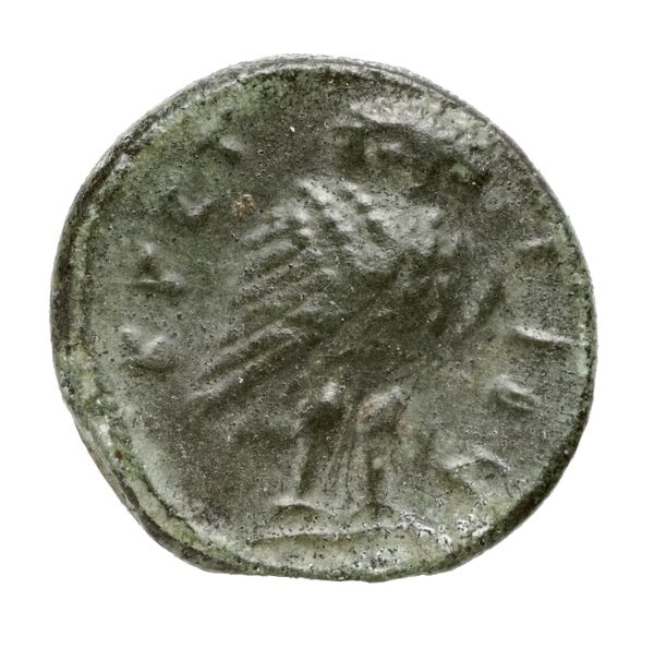 Brettii Bruttium Historia Numorum Italy 1985, реверс, bnf-iris