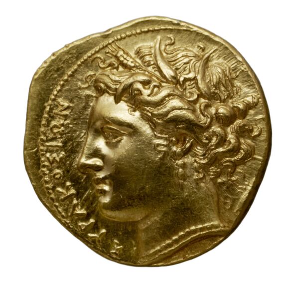 Hicetas Syracuse SNG ANS 776-778, аверс, bnf-iris