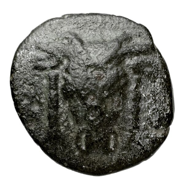 Phocian League Phocis Williams 1972 Period V, 'Branch' group, 302-28; 332-4, аверс, bnf-iris
