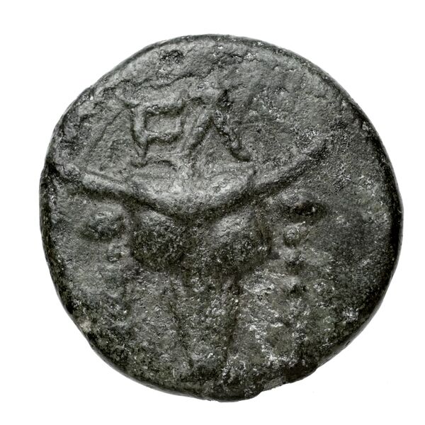 Phocian League Phocis Williams 1972 Period V, 'Branch' group, 302-28; 332-4, аверс, bnf-iris