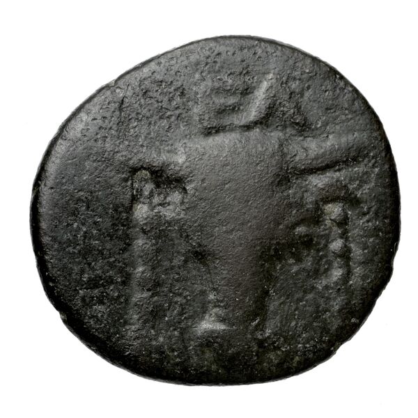 Phocian League Phocis Williams 1972 Period V, 'Branch' group, 302-28; 332-4, аверс, bnf-iris