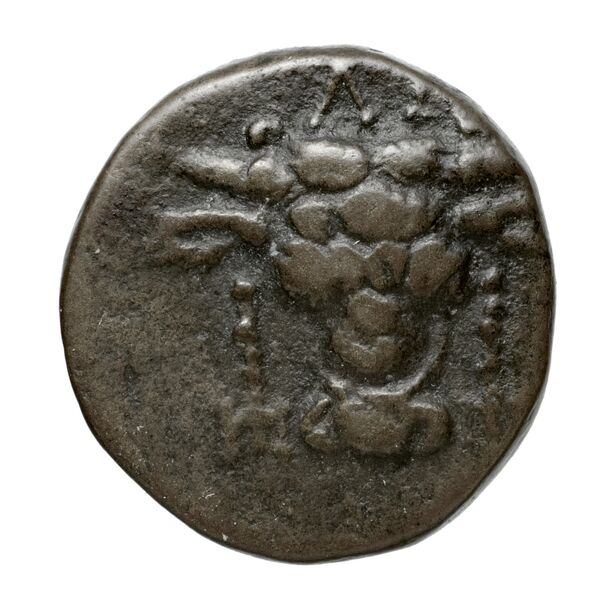 Phocian League Phocis Williams 1972 Period V, 'Branch' group, 302-28; 332-4, аверс, bnf-iris