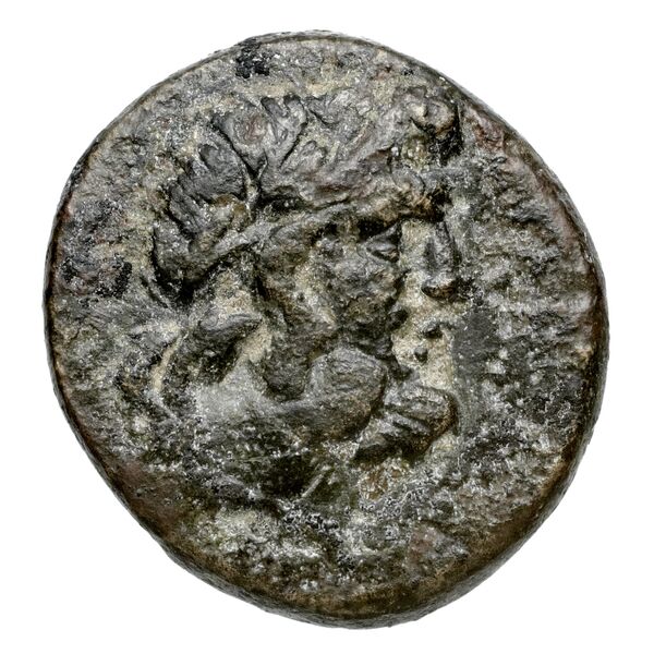 Peltae BMC Peltae 4-6, аверс, bnf-iris