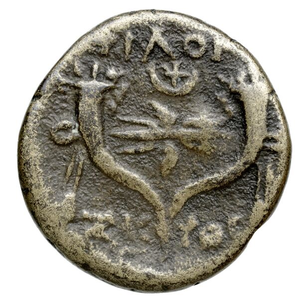 Philomelium BMC Philomelium 3-6, реверс, bnf-iris