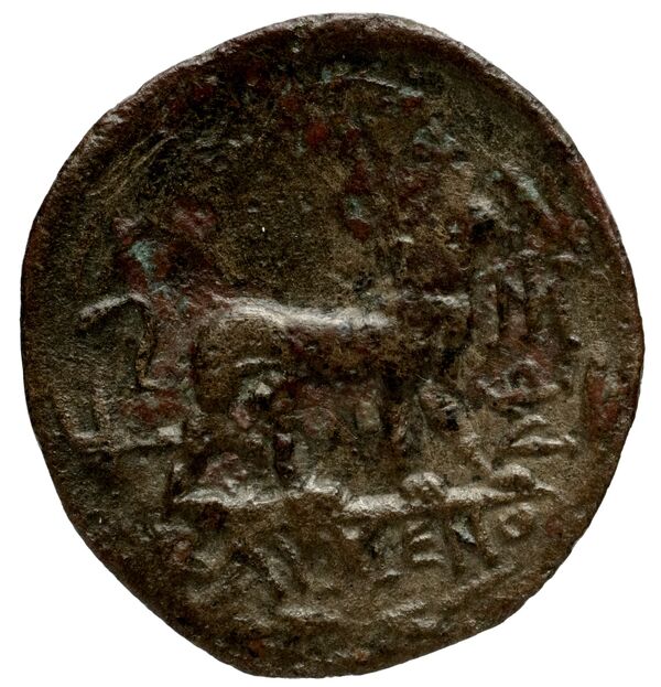 Philomelium BMC Philomelium 3-6, реверс, bnf-iris