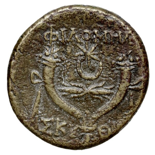 Philomelium BMC Philomelium 3-6, реверс, bnf-iris
