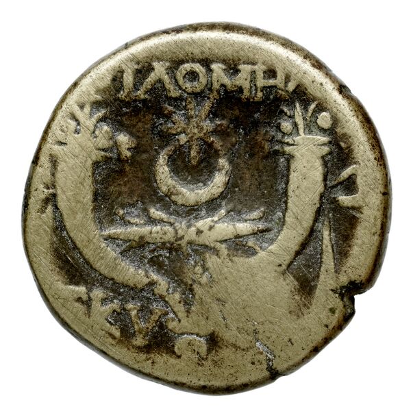 Philomelium BMC Philomelium 3-6, реверс, bnf-iris