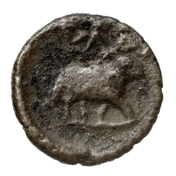 Epidaurus BMC Epidaurus 8-15, реверс, bnf-iris