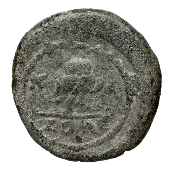 Epidaurus BMC Epidaurus 8-15, реверс, bnf-iris