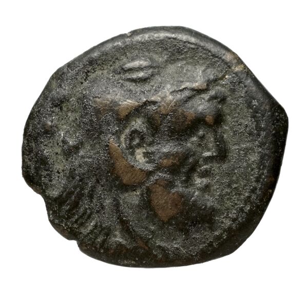 Vibo Valentia Historia Numorum Italy 2265, аверс, bnf-iris