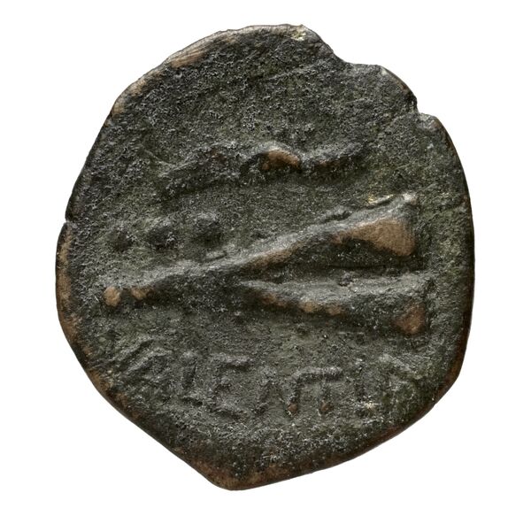 Vibo Valentia Historia Numorum Italy 2265, реверс, bnf-iris