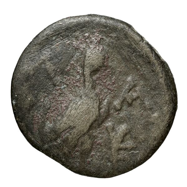 Ptolemy of Chalcis Chalcis sub Libano Herman 2006 1, реверс, bnf-iris