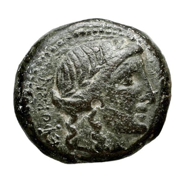 Hieron II Syracuse Puglisi 2009 340, аверс, bnf-iris
