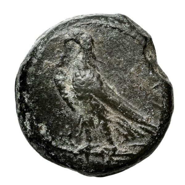 Cleomenes III of Sparta Lacedaemon Grunauer 1978 gruppe_IV, аверс, bnf-iris