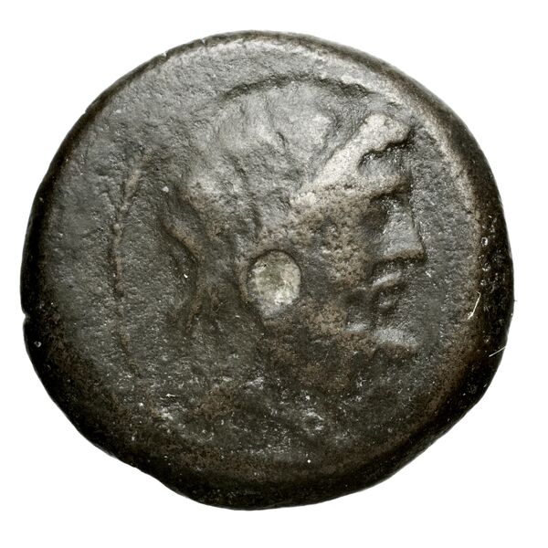 Locri Epizephyrii Historia Numorum Italy 2408-2414, аверс, bnf-iris
