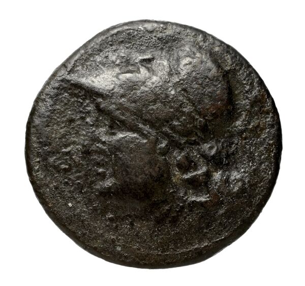Locri Epizephyrii Historia Numorum Italy 2402-2406, аверс, bnf-iris