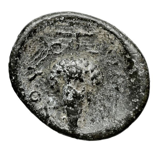 Locri Opuntii (Opus) Morineau and Delbridge 2014 Group 5-7, реверс, bnf-iris