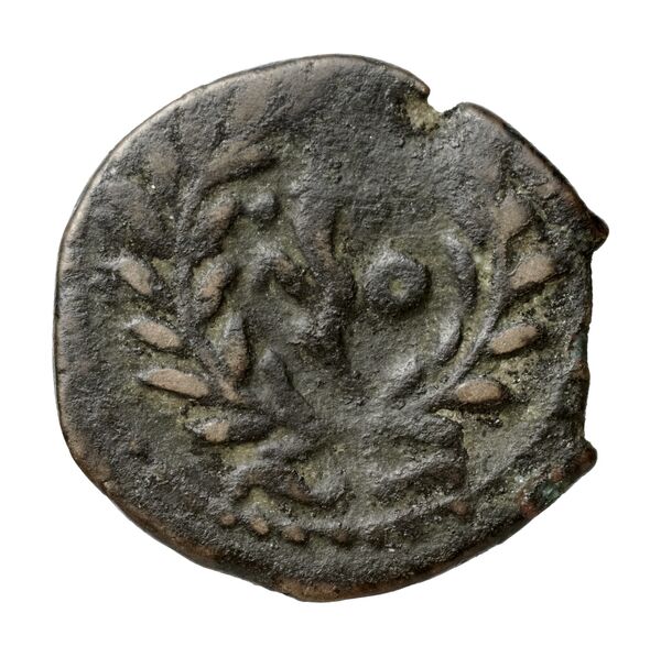 coin rev