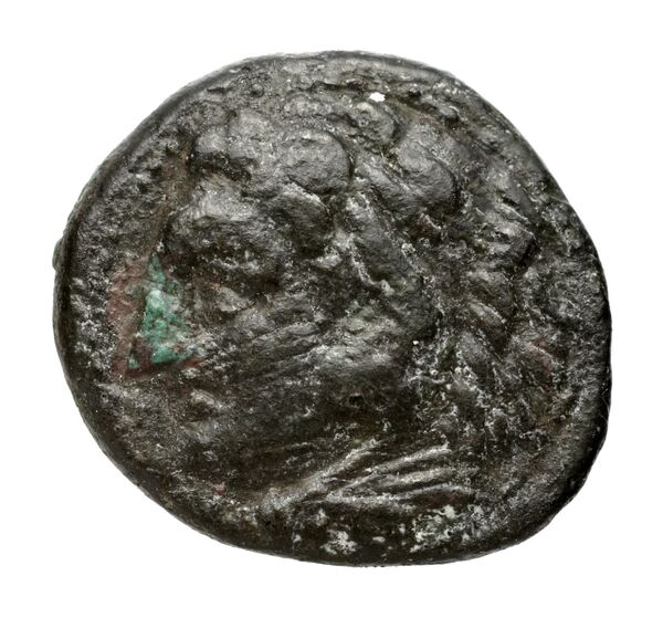 Hieron II Syracuse Puglisi 2009 338, аверс, bnf-iris