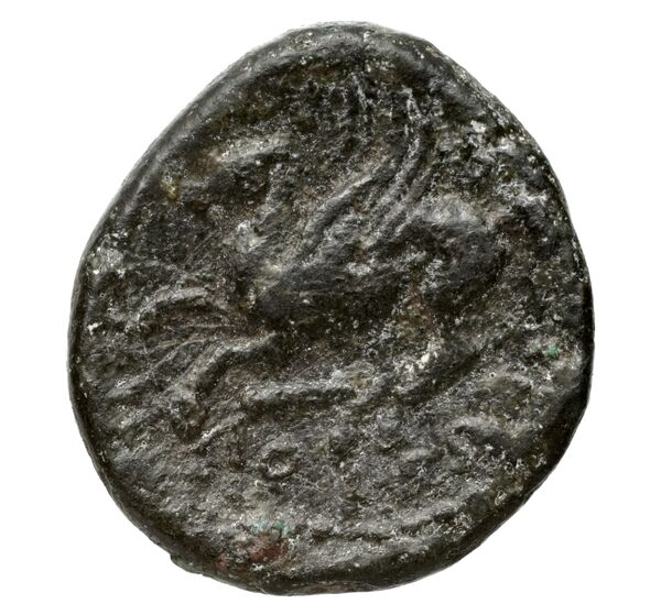 Hieron II Syracuse Puglisi 2009 338, реверс, bnf-iris