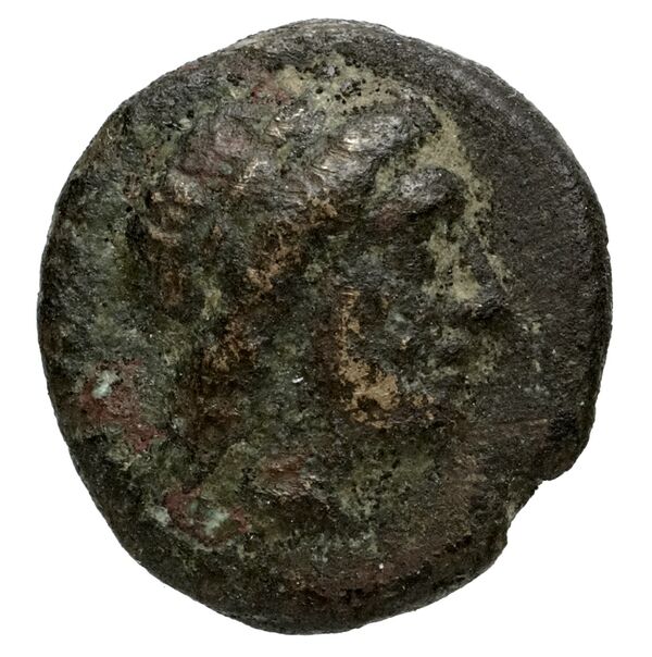 Miletus Marcellesi 2004 10, аверс, bnf-iris