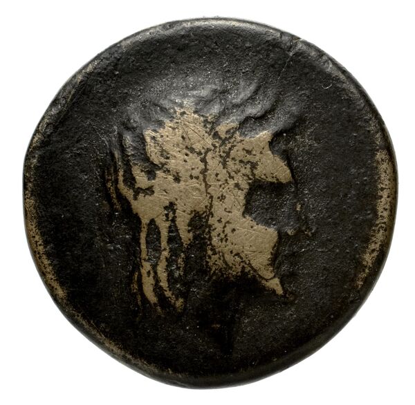 Nuceria Historia Numorum Italy 2438-46, аверс, bnf-iris
