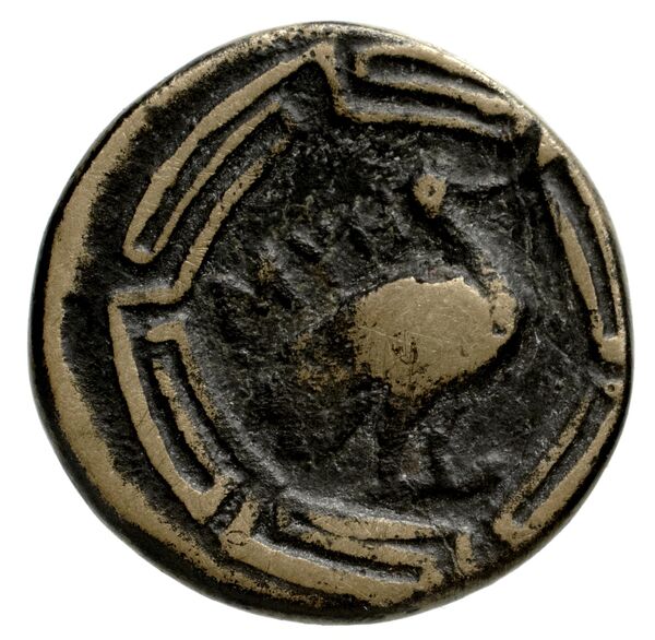 Nuceria Historia Numorum Italy 2438-46, реверс, bnf-iris
