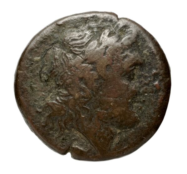 Nuceria Historia Numorum Italy 2438-46, аверс, bnf-iris